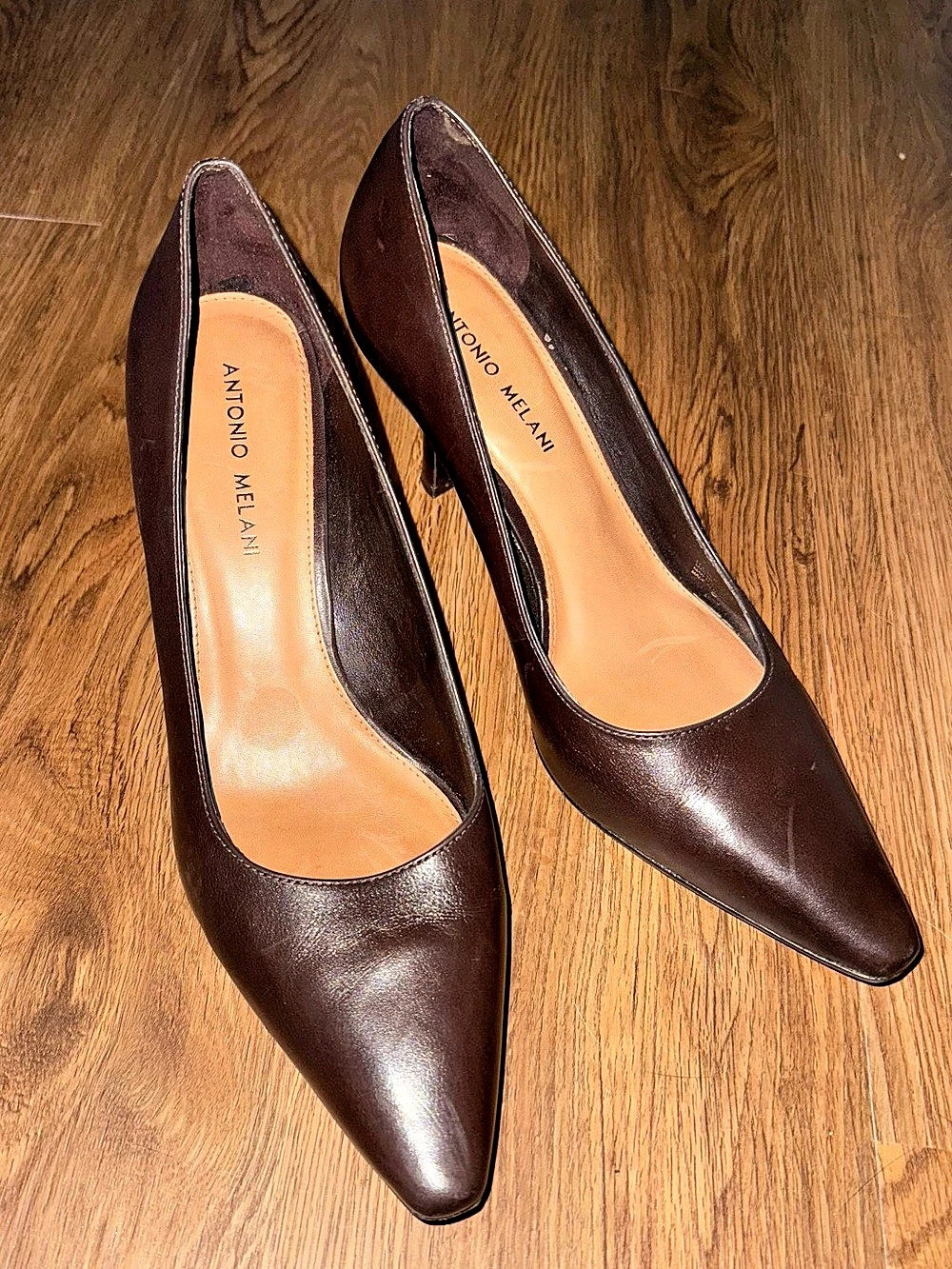 Antonio Melani Pointed Toe Heels in Brown